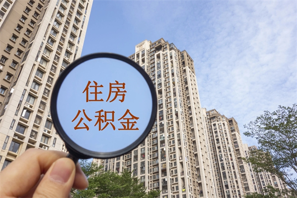 雄安新区辞职多久公积金可以全部取出来吗（辞职之后公积金多长时间可以取）